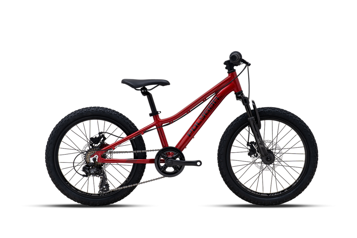 V?lo Enfant VTT POLYGON Relic 20 (5-8 ans)