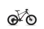 Vélo Enfant POLYGON XTRADA 20